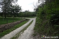 VBS_5427 - C'è un mare di velluto verde! E tu che sognavi di andare lontano... Quanta meraviglia, quì!